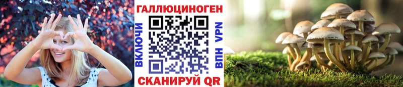 даркнет сайт  Щигры  Псилоцибиновые грибы Psilocybe 